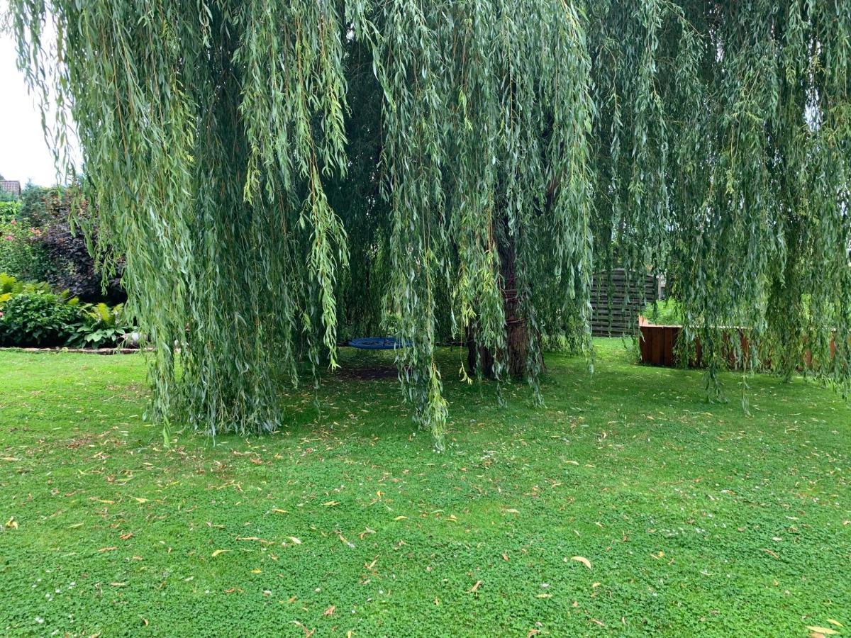 Gueneitzblick Apartment Clenze Bagian luar foto
